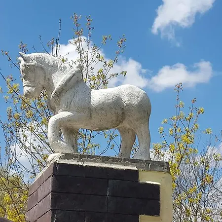 مزرعة للإقامة Farm Nh Stables Nyrany