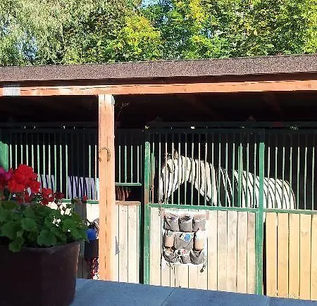 팜스테이 Farm Nh Stables Nyrany