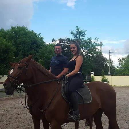 Alojamento de Turismo Rural Farm Nh Stables *