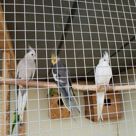 Farm Nh Stables مزرعة للإقامة *