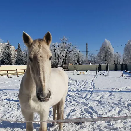 Alojamento de Turismo Rural Farm Nh Stables