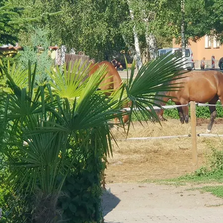 Farm Nh Stables 팜스테이 Nyrany