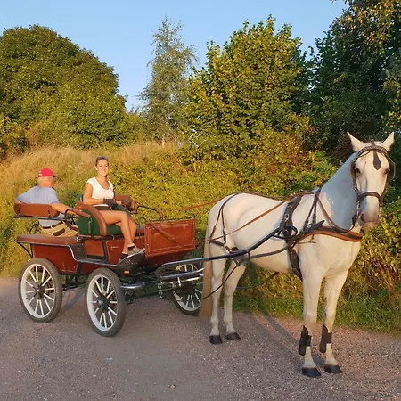 Farm Nh Stables Alojamento de Turismo Rural Nyrany