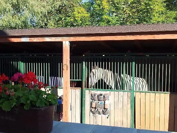 ファームステイ Farm Nh Stables Nýřany