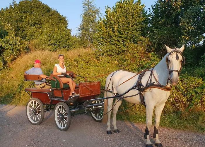 Farm Nh Stables ファームステイ Nýřany
